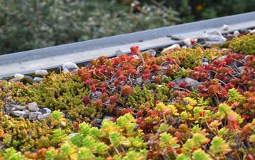 the cost of Gilford green roof installation